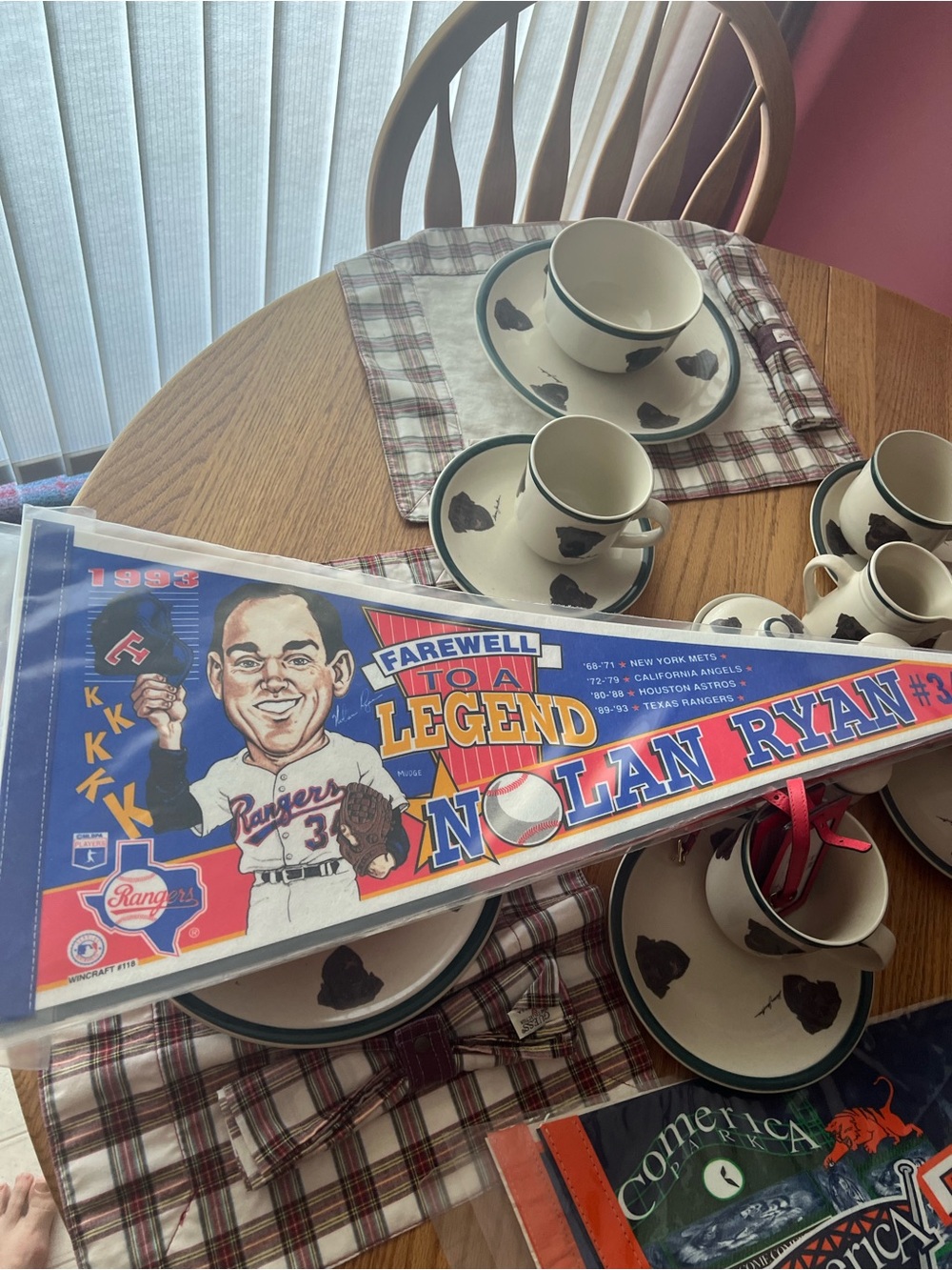 1993 Nolan Ryan Farewell to a Legend Texas Rangers Pennant